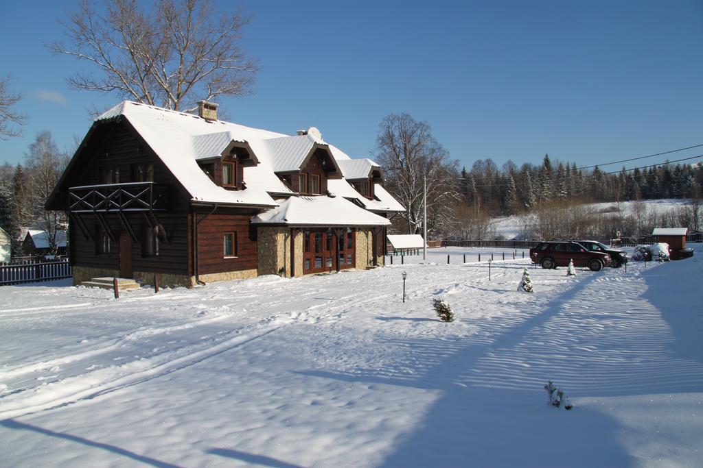 Dom Goscinny Borsuczyna Wetlina Exteriör bild